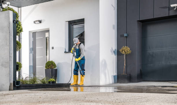 Animal Enclosure Cleaning in Alto, GA